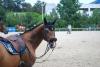 Mediterranean Games: Spain and Guarana Champeix Silver Medal!