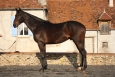 Forfairly- janvier 2011