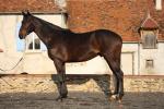 Forfairly- janvier 2011