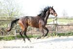 Forfairly - 3 ans