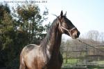 Forfairly - 3 ans