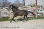 Forfairly - 3 ans