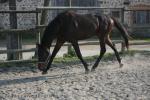 Forfairly - 3 ans