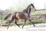 Forfairly - 3 ans