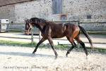 Forfairly - 3 ans