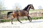 Forfairly - 3 ans