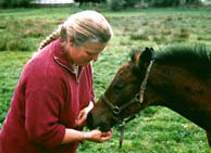 Haras de Champeix