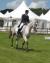 Mamour Champeix, frère de Lamour Champeix, en CIC*