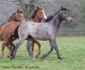 Boyara- 18 avril 2012