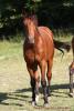 Juillet 2012