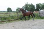 Vivaldi - Juin 2012