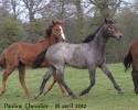 Boyara- 18 avril 2012
