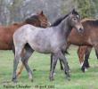 Boyara- 18 avril 2012