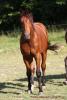 Juillet 2012